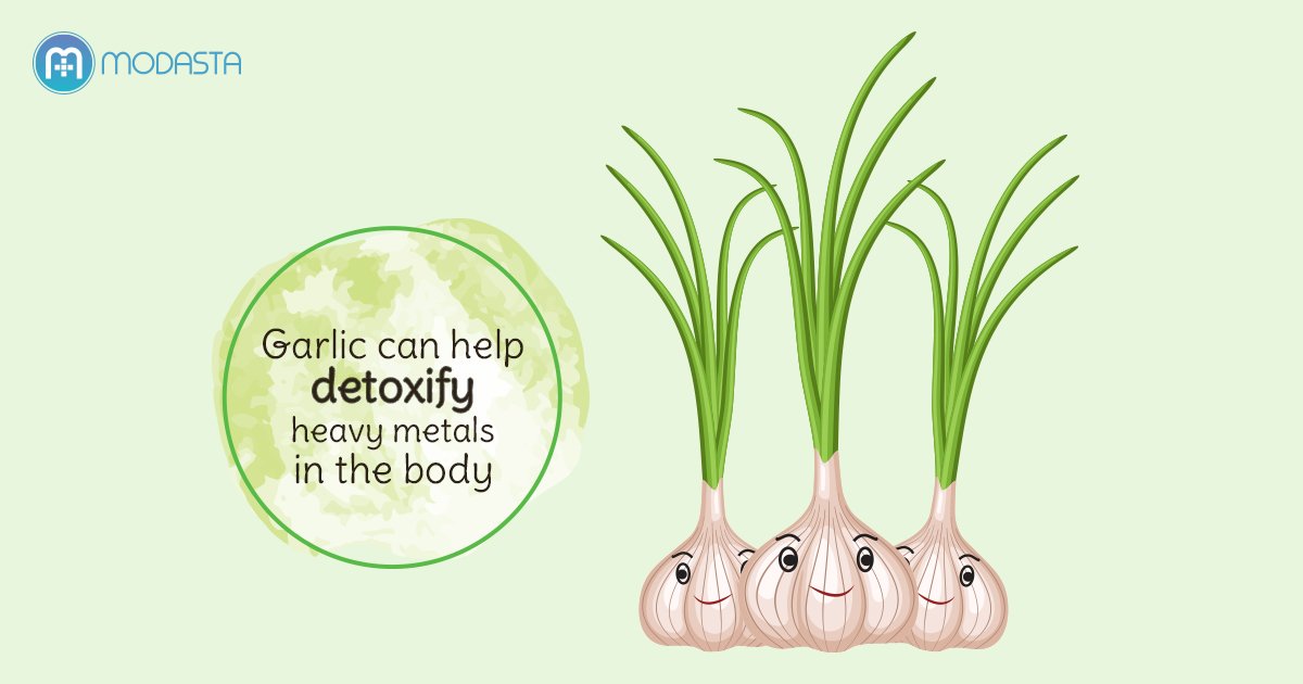 ModastaHealth's tweet photo. #Garlic contains antioxidants that may help prevent Alzheimer's disease and Dementia. #DailyHealthTips #ModastaGyan https://t.co/5mCDdl2Tn6