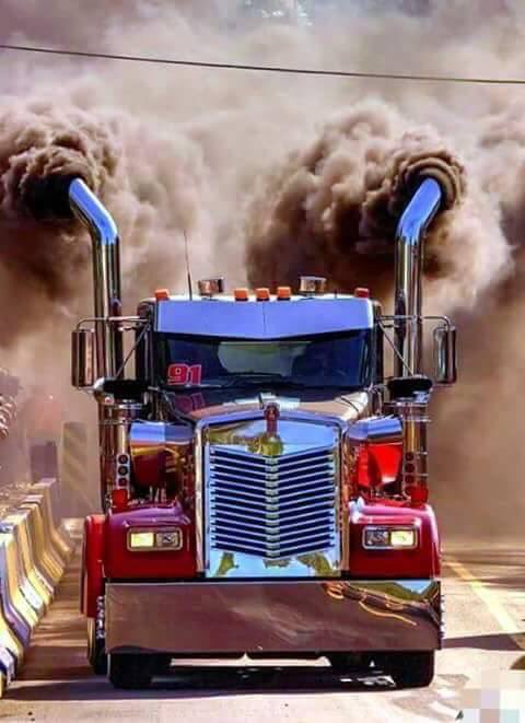 SnapcartZA's tweet photo. Not so #Green but beautiful though!! Remember to #TapAndTransport with Snapcart. https://t.co/UJPgezZBgw