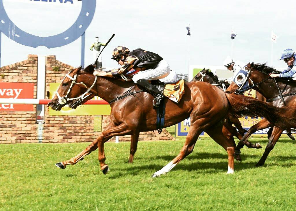 GrandSyndicates's tweet photo. #StableNews The flying Media Maid looks set for a raid on Sydney for her owners! Nominated for Canterbury Friday! #TeamGrand #BruceHill https://t.co/Kv3di9mZpr