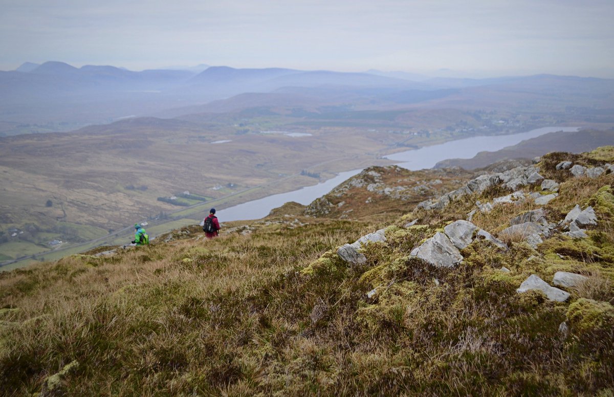 Martin McAlinden tweet media