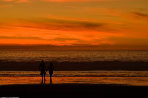 ghamdi_poet's tweet photo. If a #writer falls in love with #you,
you can never #die.
🎼♥
#quote0
#Westworld
#WWETLC
#TüneleİsimÖnerim
#MasterChefMx
#TheWalkingDead https://t.co/NGxoWfQKcx