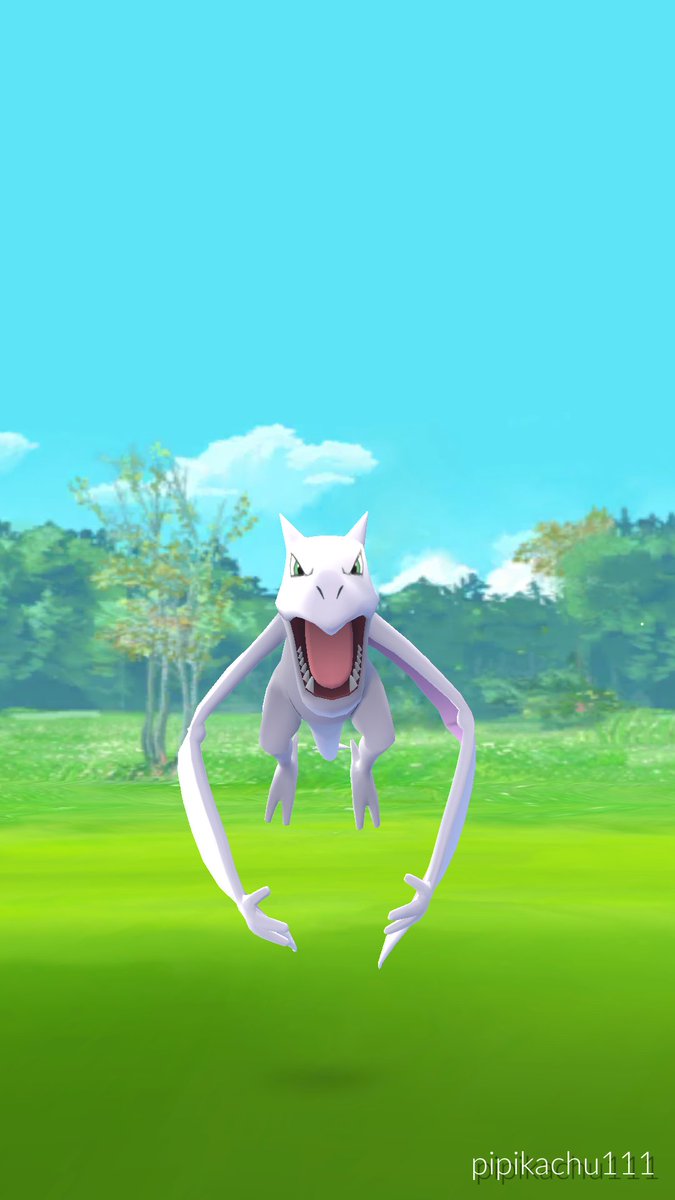 ぽんちゃん ポケモンgoお休み中 Go Twitter