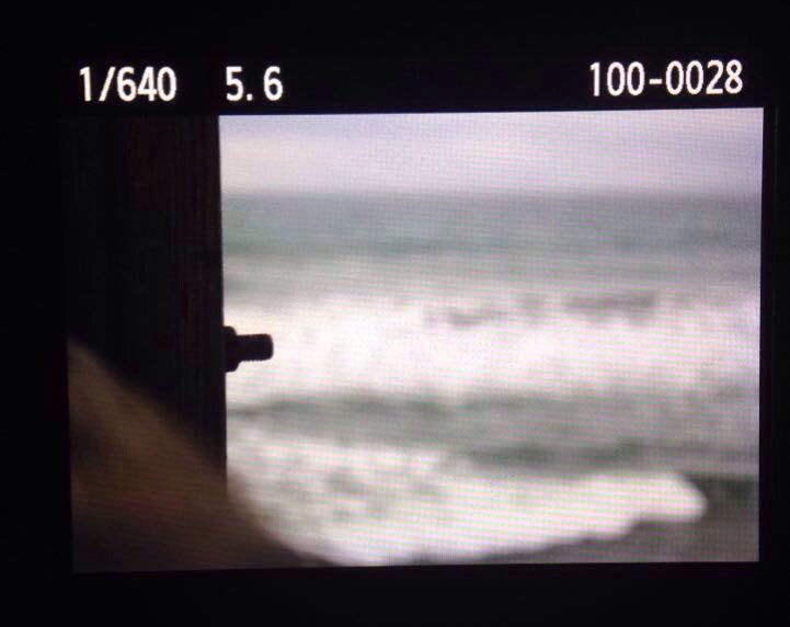 imadreamer143__'s tweet photo. Pay attention to the little moments and stop to take a look around. Pay attention to detail and what's going on around you #tlpchallenge ✔️💙 https://t.co/rLFh15qFYI