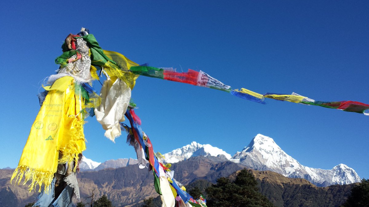 jmpalau's tweet photo. #Annapurna #view #prayflags  #trekking @GoNepal_Es #destinos #turismo #viajes #onassignment https://t.co/rzUnFUdD1H