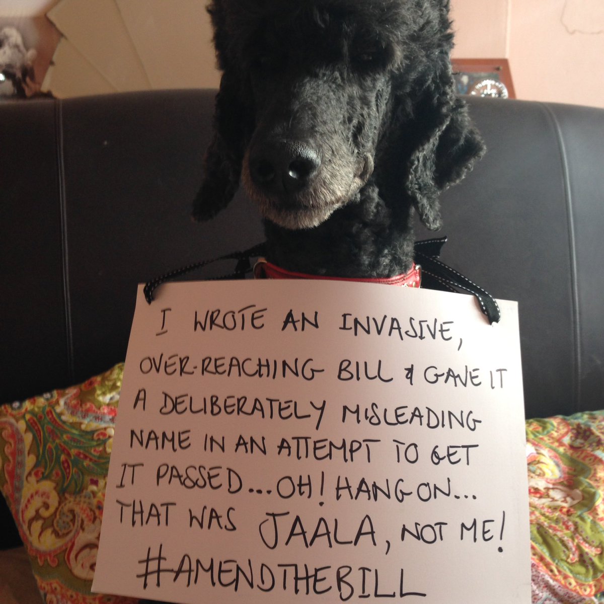 hfd371's tweet photo. To everyone involved in creating this "masterclass in how not to write legislation" - SHAME ON YOU! @JaalaPulford #amendthebill https://t.co/WPscKmmjNx