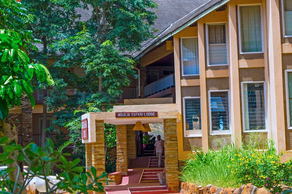 nguliasafari's tweet photo. Have you booked your stay in @nguliasafari yet? If not what are you waiting for? Book now for amazing offer #MiracleMonday https://t.co/72esSbRN5q