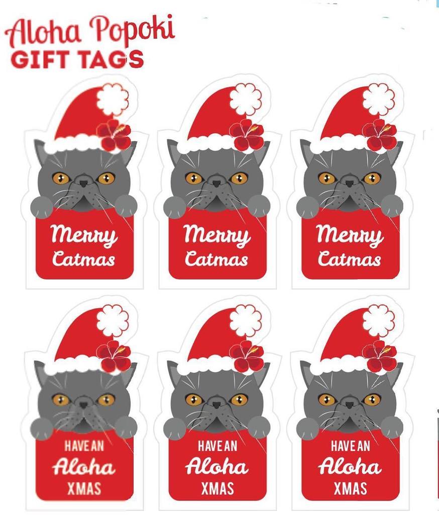 Aloha_Popoki's tweet photo. We're so excited! 🎁🎄🎁We love them, thank you @kooeepapercraft #merrycatmas #haveanalohaxmas https://t.co/NRXCQqwDc4 https://t.co/8JAbH2MKsl