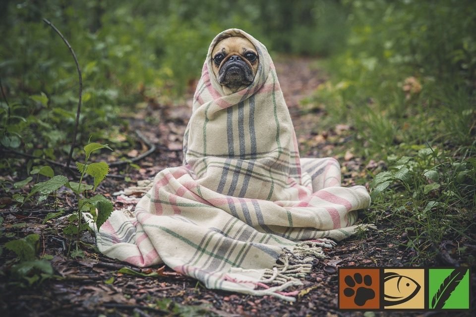 Eisig heute morgen! Wir wünschen euch einen guten Wochenstart :)