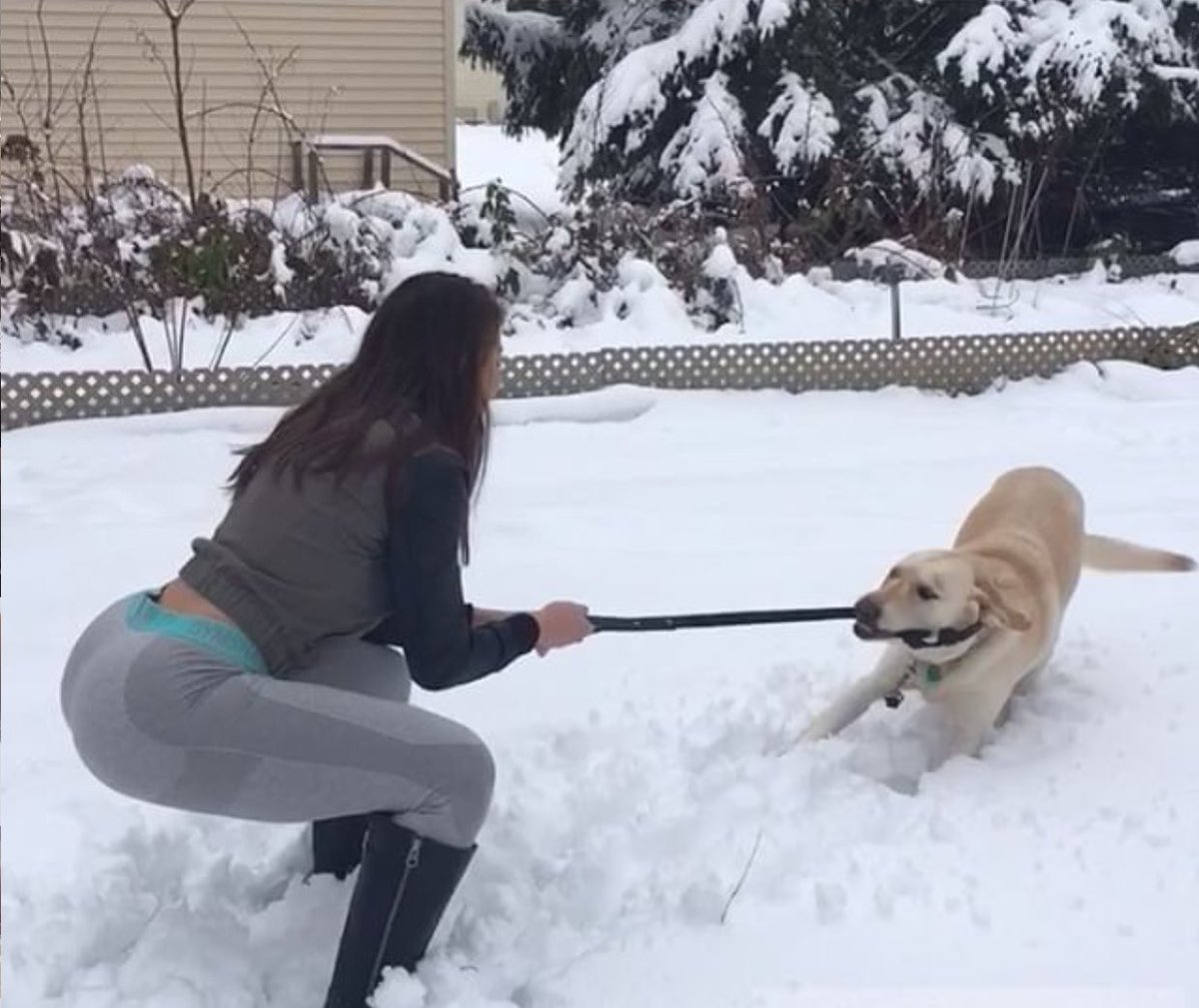 bribaebee_'s tweet photo. Me and my dog in the snow the other day ππ½ββοΈ #Bribaebee #Fitness #Gainz https://t.co/zFGcCPuCf9