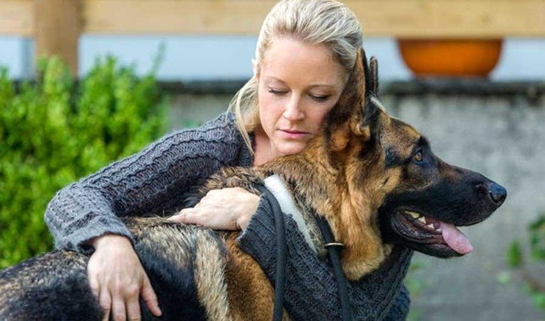 Suivez "Les lumières de Noël" et "Une bonne étoile pour Noël" dès 13:50 et 15:30 sur #TF1Bon téléfilm !😊