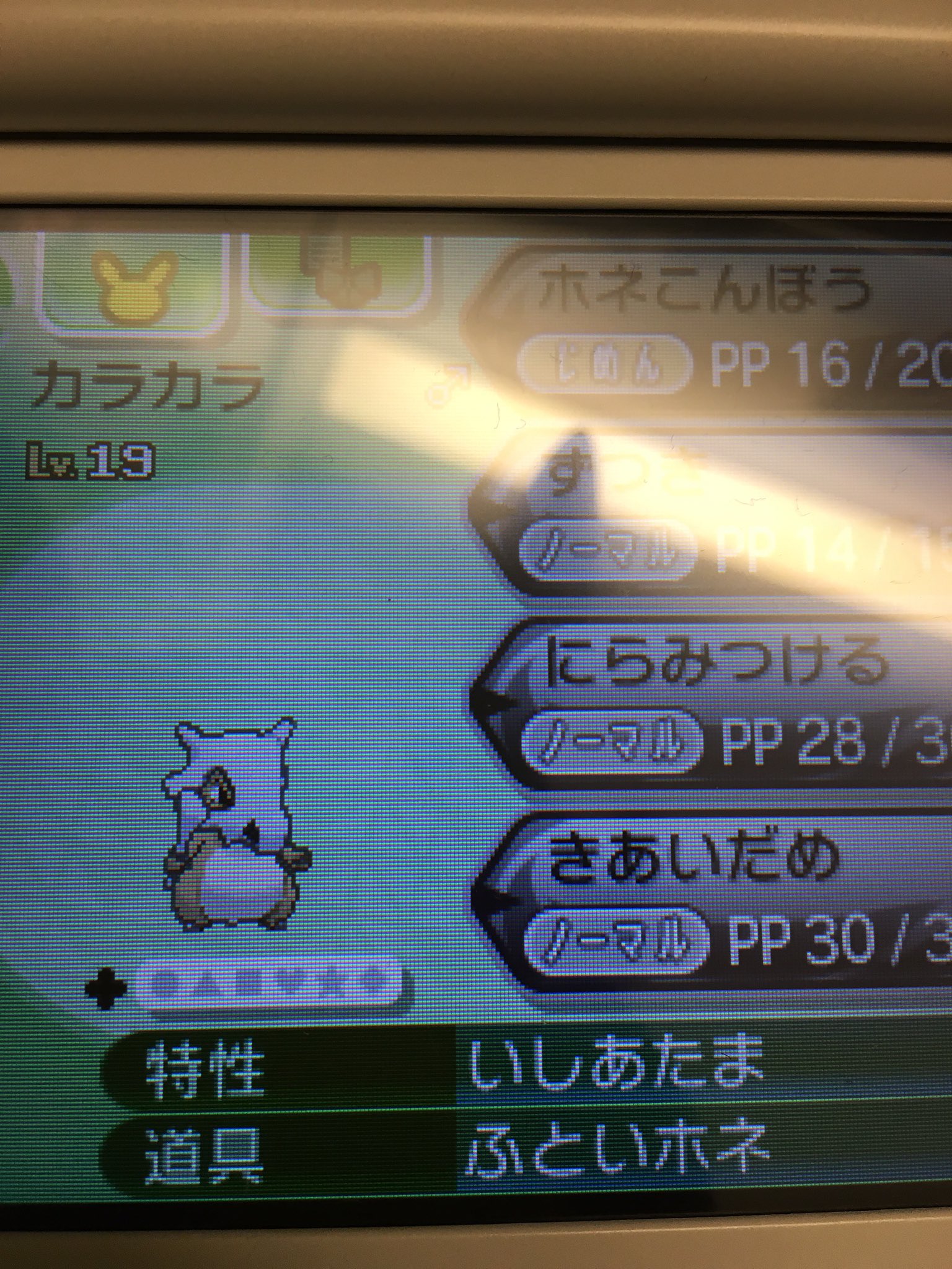 ふといホネ Twitter Search Twitter