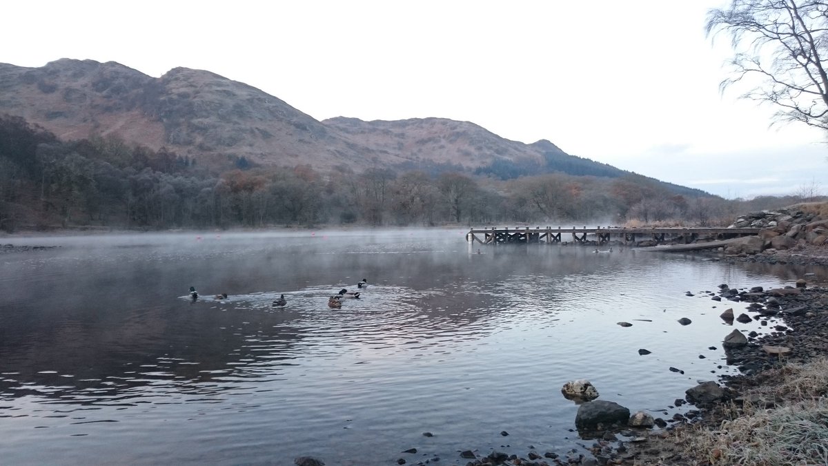 _StuartC_'s tweet image. Lovely morning in St Fillans, #Perthshire. The ducks seemed to be enjoying themselves too #NoisyBunch