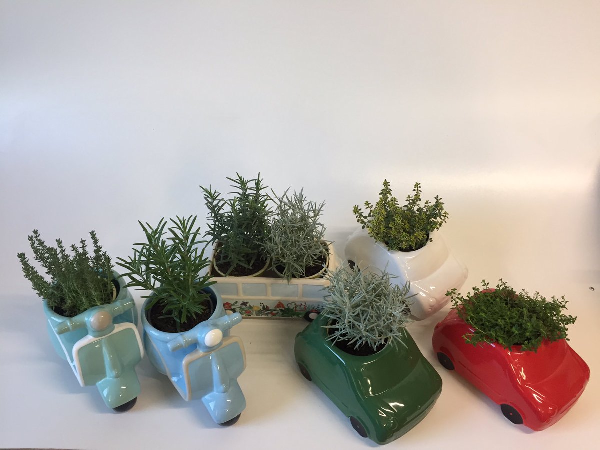 GCollectP's tweet image. Verse Italiaanse kruiden met typisch Italiaanse items! De Perfecte combi!