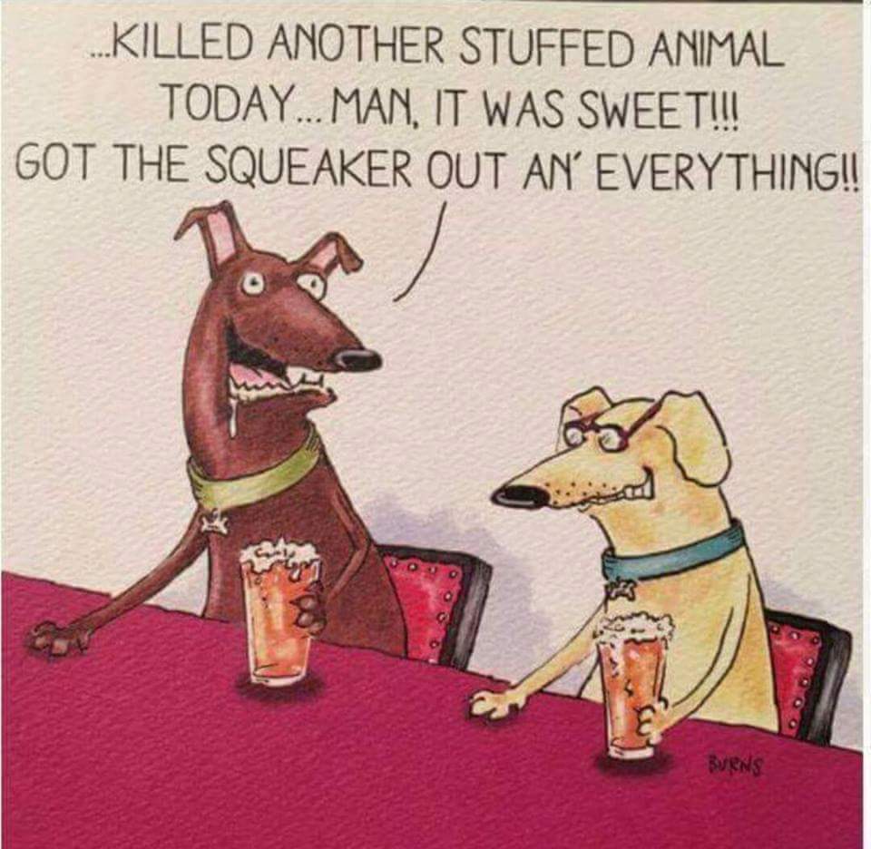 BeagleCeramics (@beagleceramics) on Twitter photo 