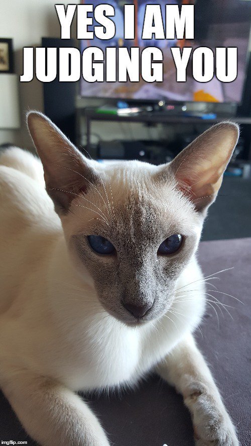 ajWasThere 🏳️‍🌈 tweet media