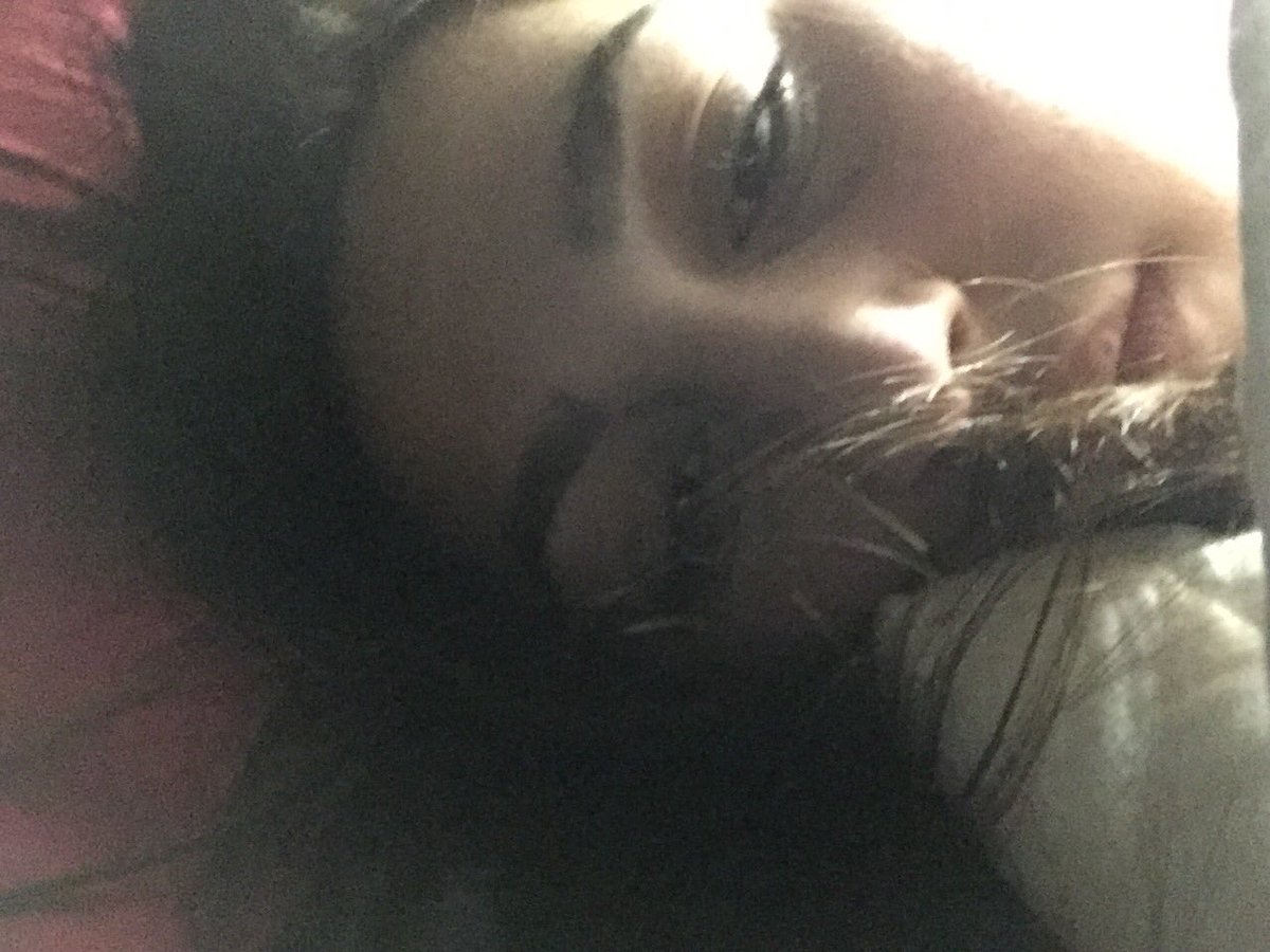abbyabraham20's tweet photo. "go to college" they said, "it'll be fun" they said 

Me: https://t.co/hgU6stCweh