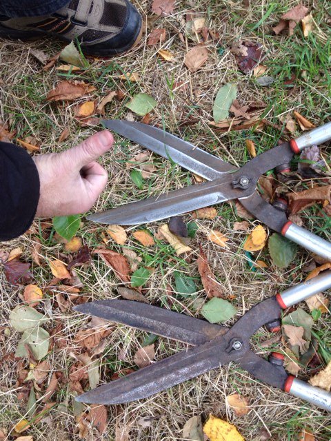 GG_Whitehall's tweet photo. Thumbs up for sunshine &amp; tool-shine! Huge thanks @GG_Whitehall vols for always kicking off the week well!#JoinInFeelGood #mondaymotivation https://t.co/b3w5ITtrUK