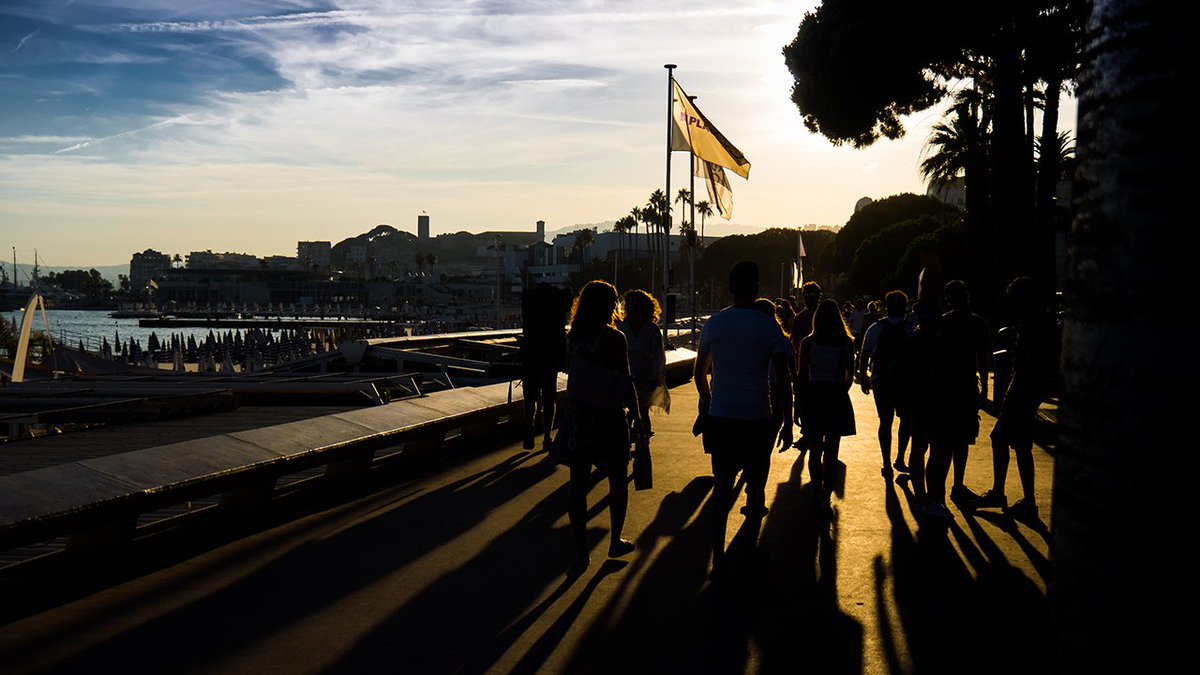 Phototof06's tweet photo. contre jour  sur la #croisette #CotedAzurNow @Visit_Cotedazur https://t.co/pBYzqpEJ2N