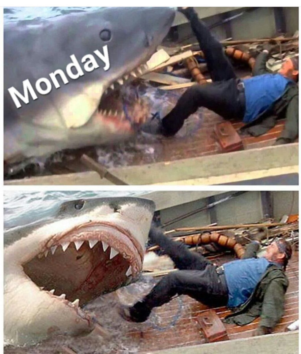 ModernGeekShow's tweet photo. Yup. #Monday #Jaws https://t.co/Gbt2sw4epK