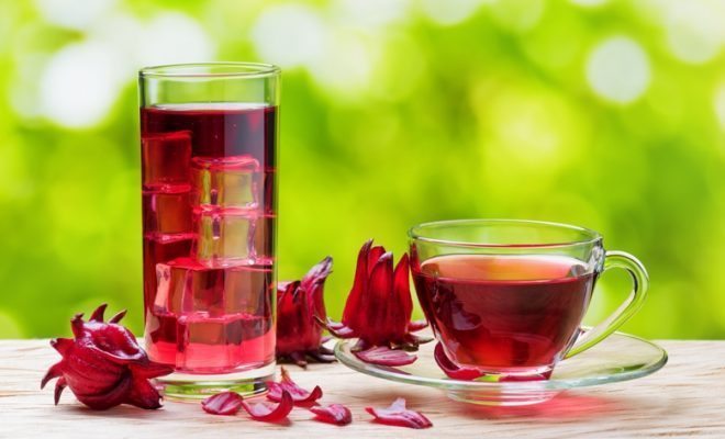 ElNacionalWeb's tweet photo. ¿Por qué debes tomar infusiones de flor de Jamaica? 🍁 https://t.co/Ze0k1qI7PH  https://t.co/WHh63G1dIQ '