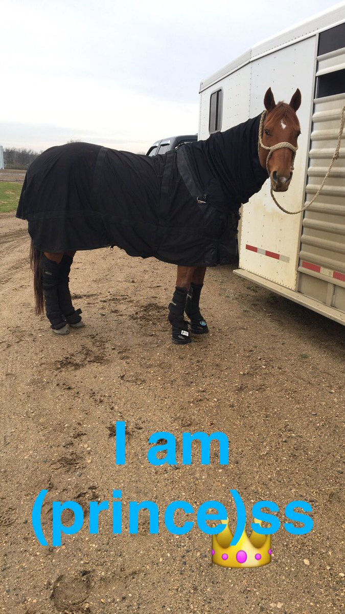 KarleeKalberer's tweet photo. Slight obsession with my turb man😈 https://t.co/xUr7eHVTzJ