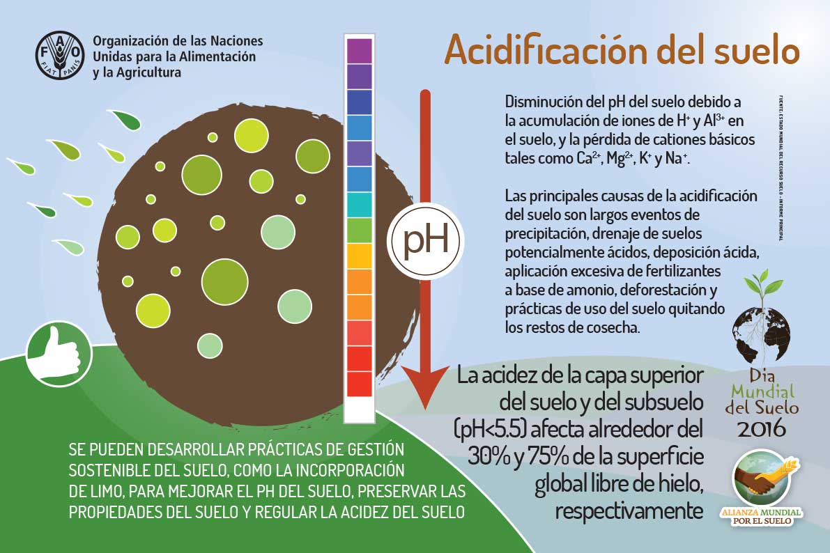 FAOMexico's tweet photo. La acidez de la capa superior de los #suelos y subsuelos afecta alrededor del 30% al 75% de la superficie global libre de hielo #WSD2016 https://t.co/KfZrwml2xz
