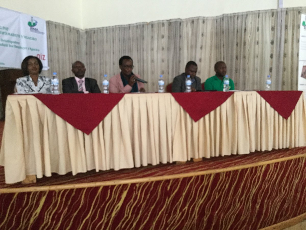 EnvironmentRw's tweet image. PS @RwandaResources @FaMukarubibi speaking at #MiningDay celebration @Mining_Rwanda @RMA_MiningRw