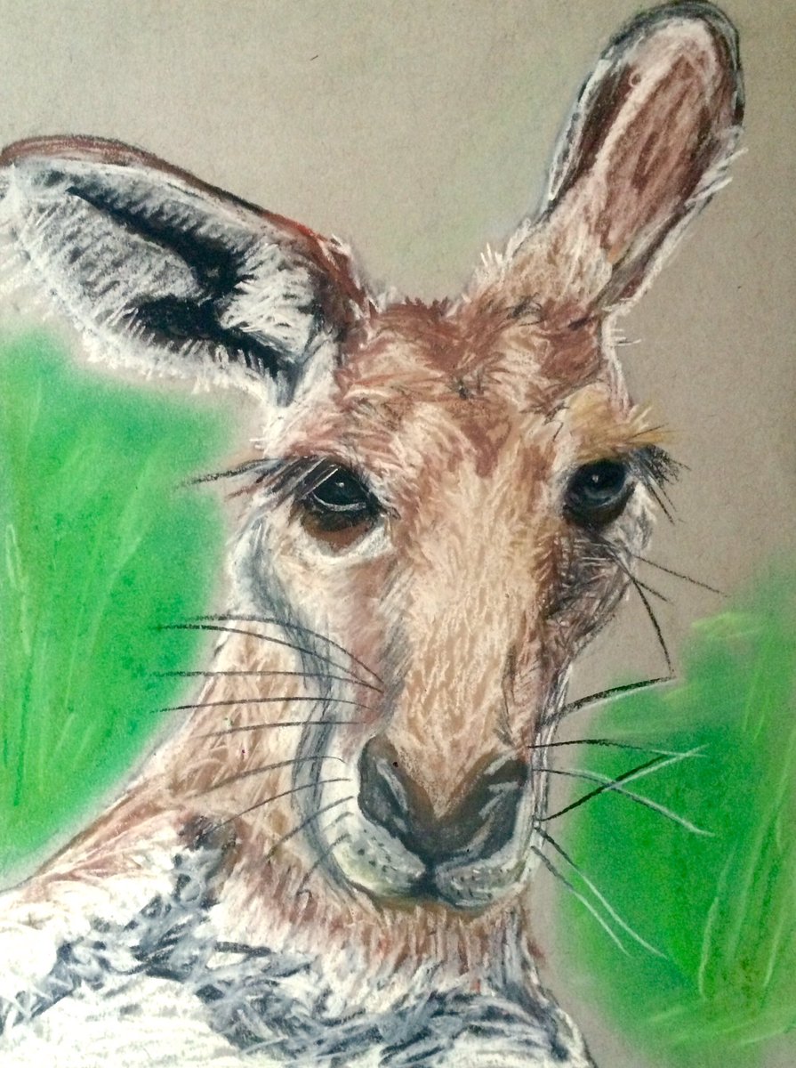 emkhowley's tweet photo. For Day 30 of the #100daysproject, a jaunty kangaroo for my Aussie swimming friend, The Thunder from Down Under, @ChickenOSea #gethopping https://t.co/IEcrVjWu7G