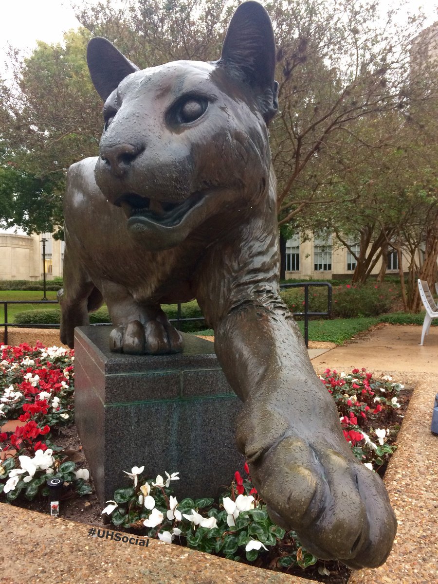 UHouston's tweet photo. #MondayMotivation for finals: Don’t stress. Do your best. Forget the rest. And rub my paw for good luck! #YouGotThis 🐾 https://t.co/kOXxvuDTep
