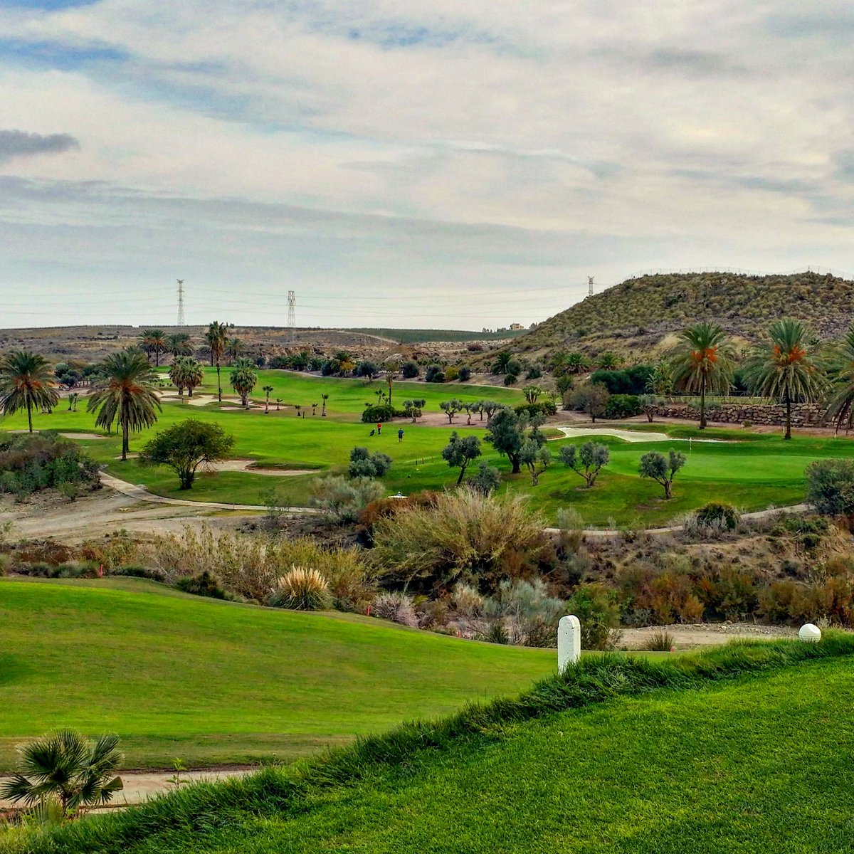 AAldaiturriaga's tweet photo. Impresionante renovación de @Vdelestegolf ⛳👏
Fantástico campo.Retador. Divertido... muy recomendable #golf
#golfmmunity #SemanaGastroGolfa https://t.co/SgcDqOW7wM