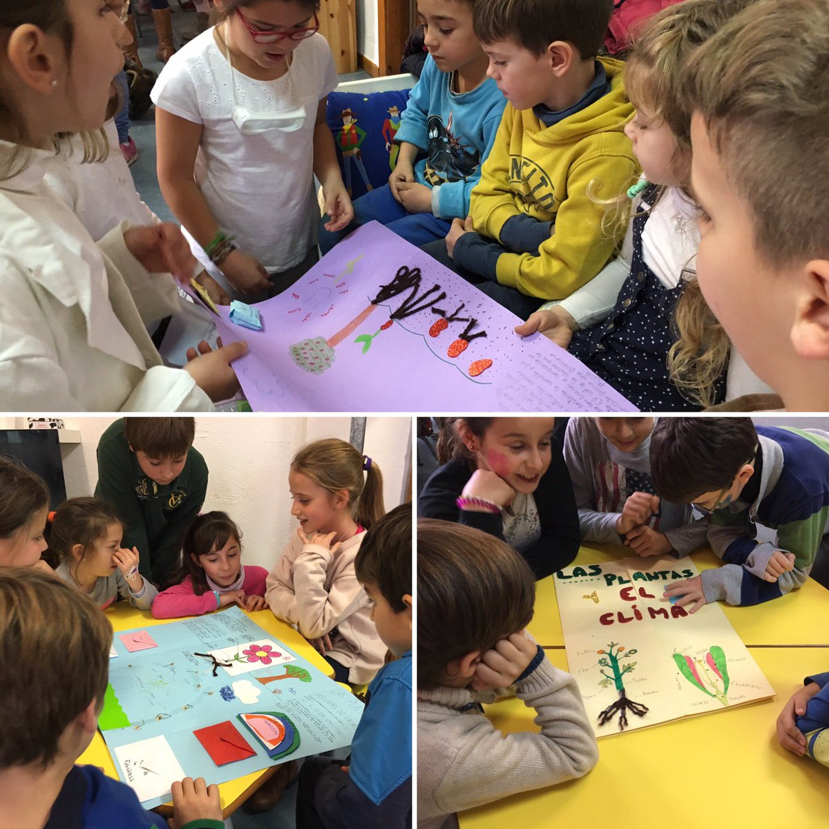 ColegioAmoros's tweet photo. Los alumnos de 4º de #PrimAmoros nos cuentan todo lo que han aprendido en su proyecto sobre las plantas y el clima #InfAmoros https://t.co/1YY0VrG9u6