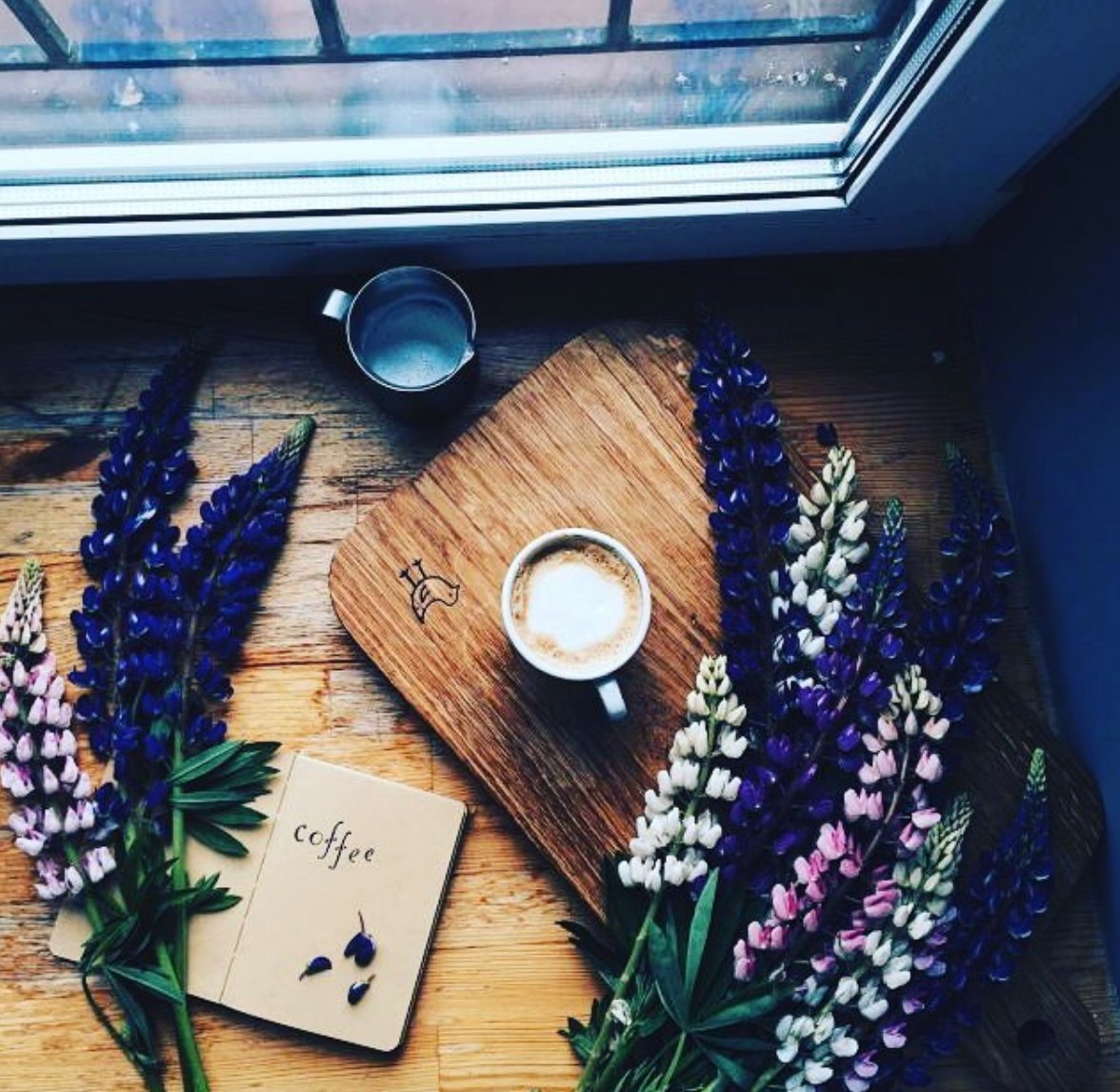 ShakesisterGrim's tweet photo. Yours.
#ForYew
#CoffeeForYew https://t.co/nZuEJNdGV5