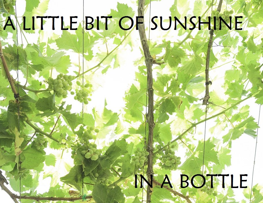 If you live in UK, to get your #wine by #Xmas order it by Friday 9th. Bring home a bit of sunshine from #Menorca! tienda.binifadet.com/gb/