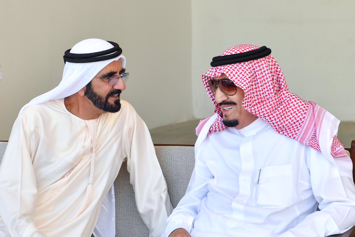 الملك سلمان ضمانة عربية للاستقرار.. ولو جمعت الدول العربية علاقات كعلاقات الإمارات والسعودية لكانت المنطقة أقوى ومستقبلها أفضل وشعوبها أسعد