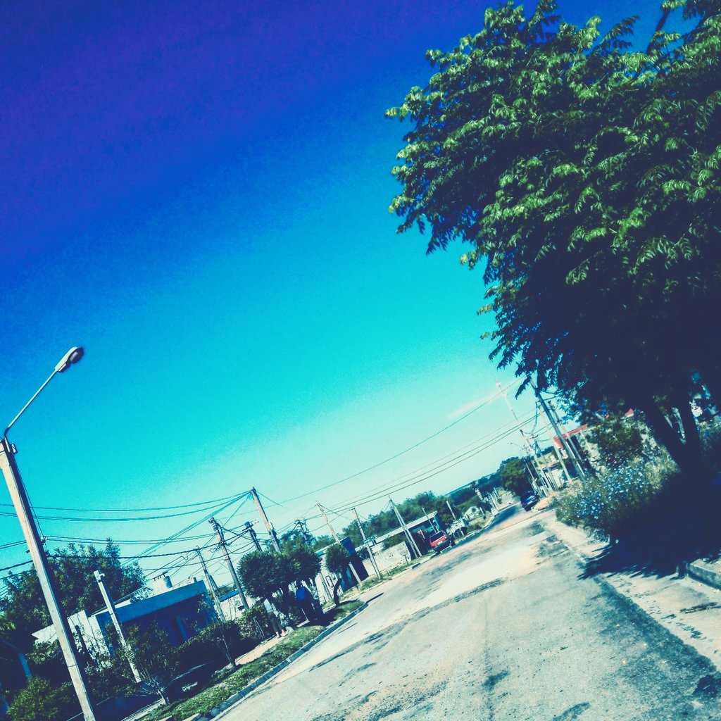FlaviaTarde's tweet photo. https://t.co/z1pzFvKe61