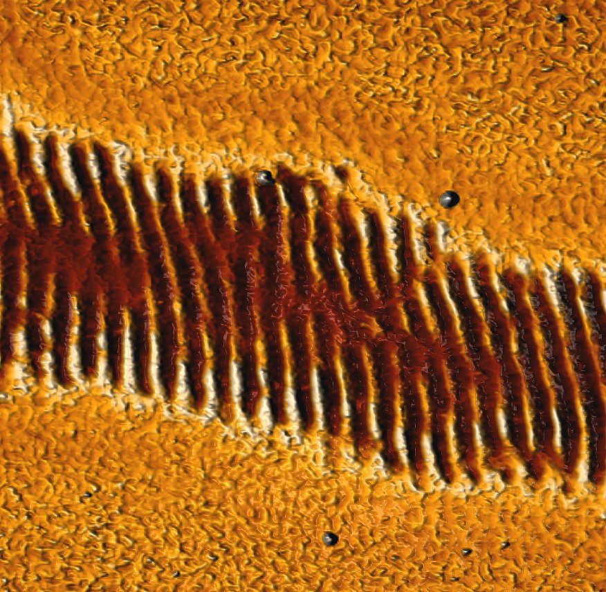 NTMDT's tweet image. 20x20 µm topography of laser modified MBE deposed lead telluride film on Si. Sample:Dr.A.Kucherik, Image: Dr.S.Kutrovskaya, #VLSU, #Vladimir