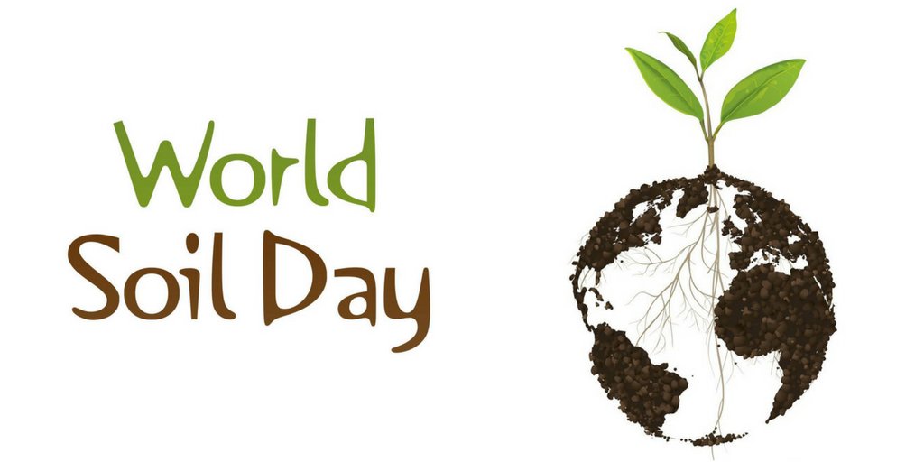 Всемирный день почв: 5 декабря экологическому празднику будут посвящены мероприятия, рассказывающие о его значении