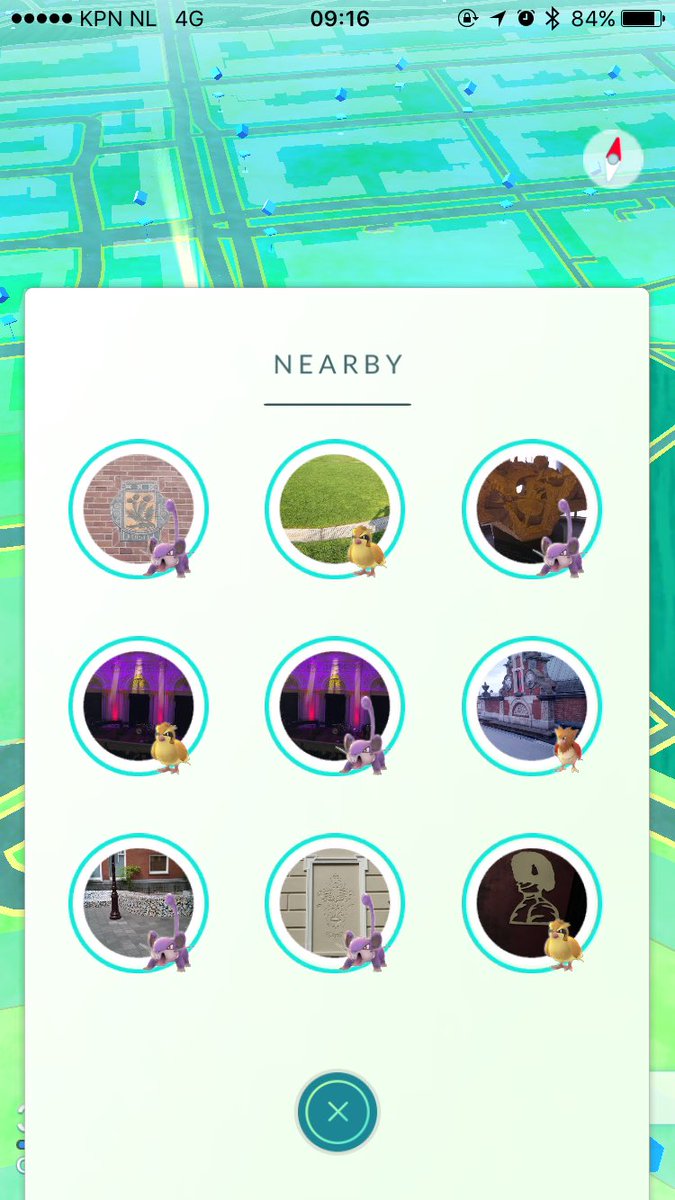 GhosthowlerGO's tweet photo. @ReversalYouTube #PokemonGO Come to Amsterdam for all your Rat and pigeon needs!!! Maybe one is a ditto! https://t.co/pGbJr6DK4j