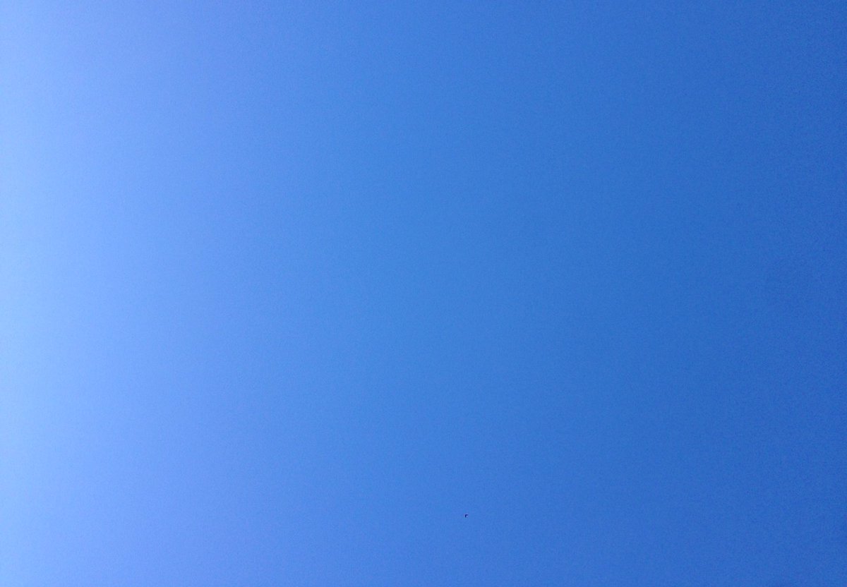DwightCat85's tweet photo. @AgenziaGiovani #PartyconSve #Sve20 #EVS20 #EventoSve #Sve #Ang ma il cielo è sempre più blu https://t.co/YNqhTgUTsK