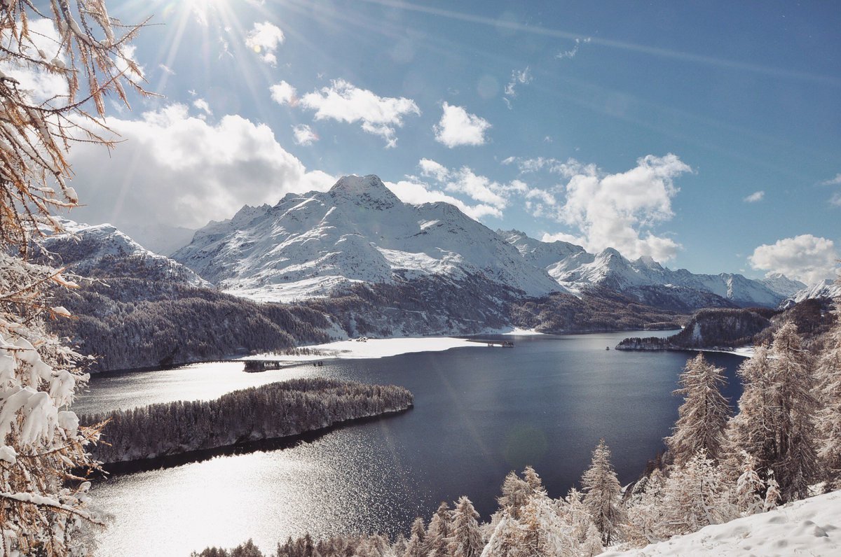 St. Moritz tweet media