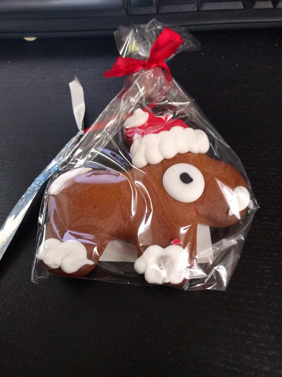 andere_grufty's tweet photo. Der fünfte Tag im #KittenAdvent bringt mir Lebkuchen :3 https://t.co/jAvwZvPso4
