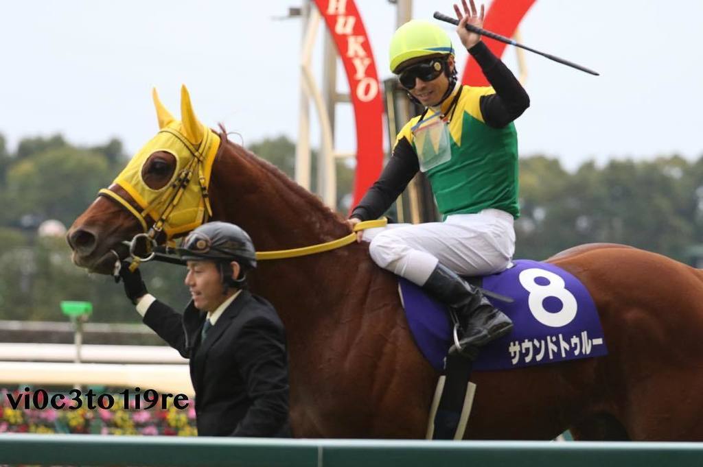 vi0c3to1i9re's tweet photo. 2016チャンピオンズカップ ウイニングラン
勝って引き上げるサウンドトゥルーとスタンドに向かって左手を上げる大野拓弥
#サウンドトゥルー #大野拓弥
#チャンピオンズカップ #中京競馬場
#soundtrue #takuya… https://t.co/2mXF9YkvKF