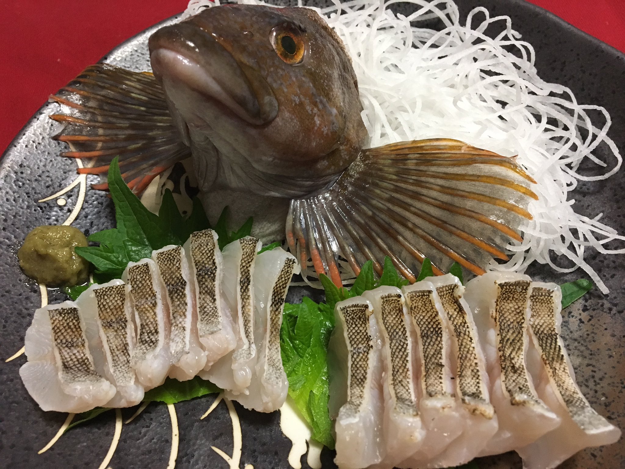 تويتر 楽釣美食 على تويتر 大洗で釣ったヒラメとアイナメ アイナメは初めて食べるから刺身が良かったが 皮目に脂があるとの事なので湯引きと炙りに ポン酢と柚子胡椒がよく合う ヒラメはやはりポン酢そして紅葉おろしが美味い もっと大きいヒラメを釣って食べたい