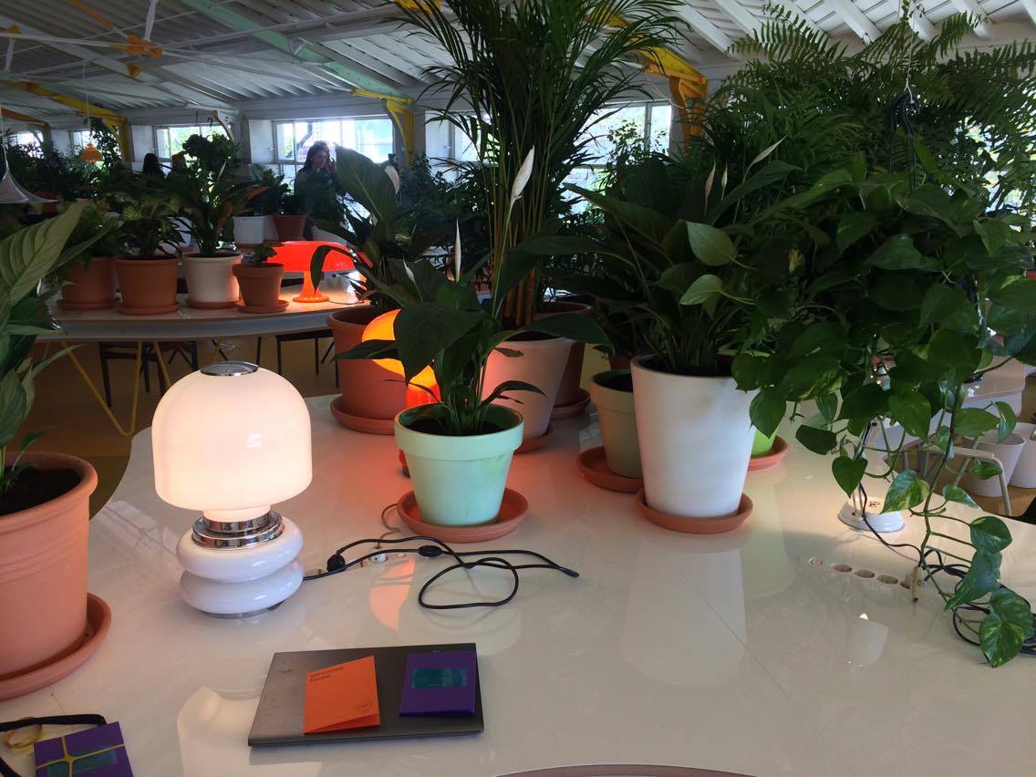 levooApp's tweet photo. A @levooApp  começa agora a operar do @SECONDHOME_IO Lisboa! Nova secretária rodeada de plantas! https://t.co/bNk8POikZO