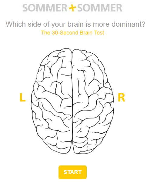 Brain test 7. Левое и правое полушарие мозга картинки. Головной мозг тест. Тест на левый и правый мозг. What's in my Brain шаблон.
