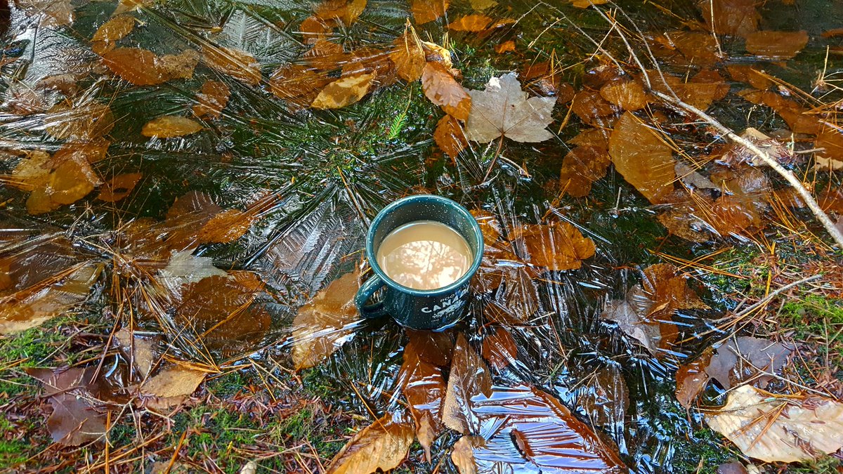 Northscavenger's tweet photo. Anyone like ice coffee? - #DecemberCamping #findyournorth #interiorcamping #backcountrycamping #canoecamping #KawarthaHighlands https://t.co/8uV5vx7tzP