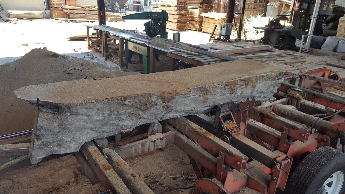 Rare Olivewood sawing at our yard in Alrode.