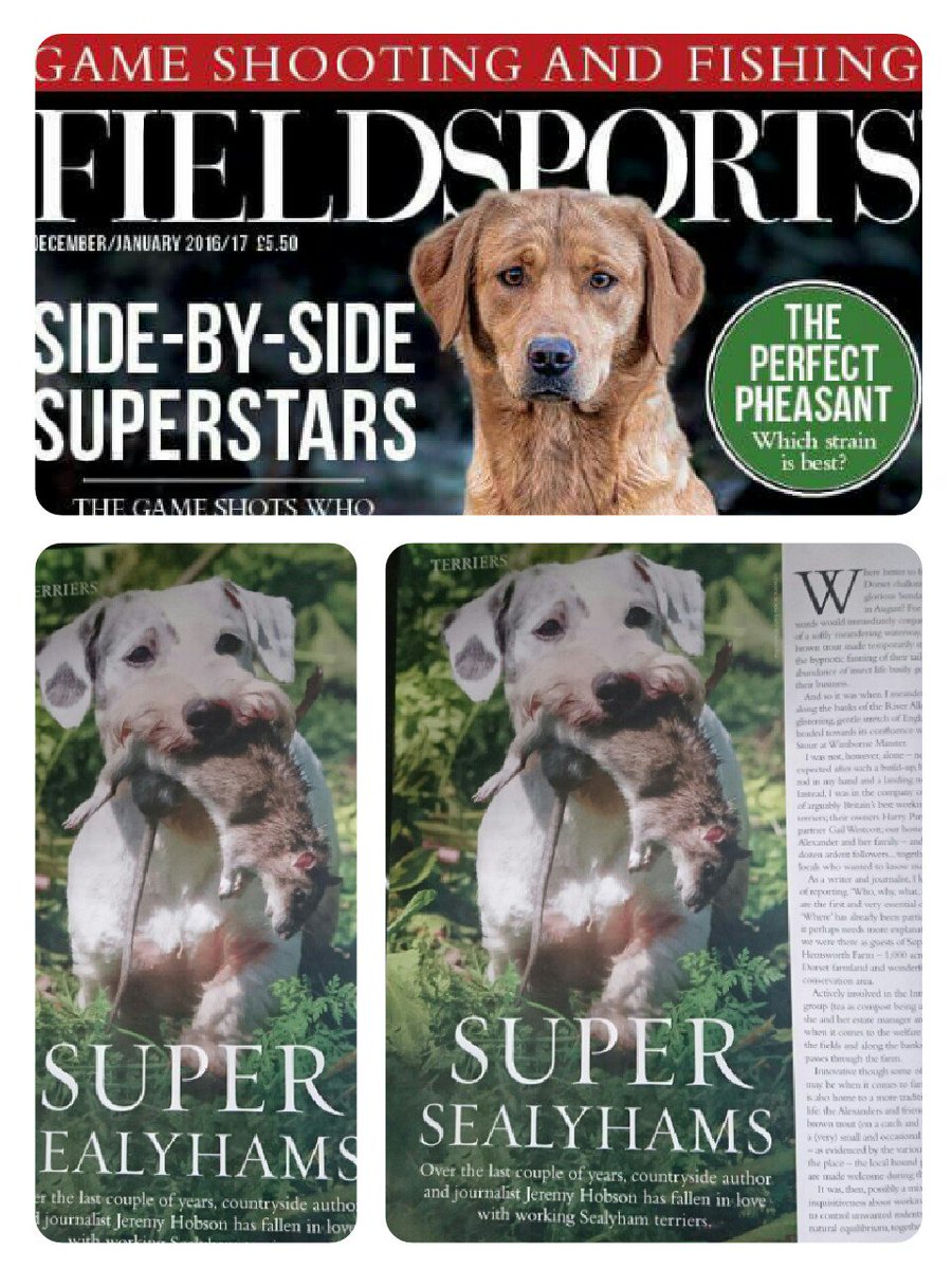mysealyhams's tweet photo. Very proud of this article by Jeremy Hobson in the Christmas Issue of Fieldsports magazine :-) https://t.co/0QWUEXef2N