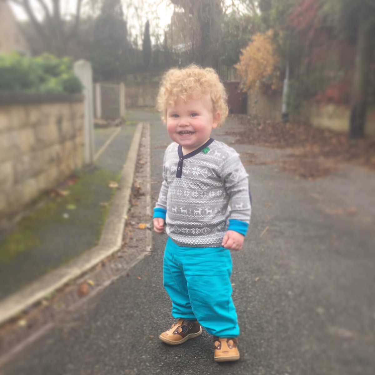 EandTAdventure's tweet photo. Ted is subtly festive in #fredsworld fair isle top & first pair of 'big boy' shoes, amazing @livieandlucauk badgers from @FootprintLittle https://t.co/GRc9Zqtd0I
