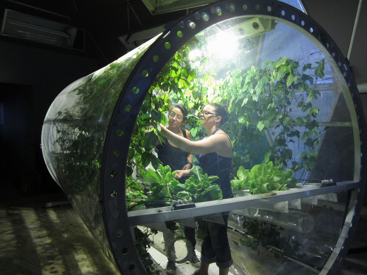 HydroponicsKit's tweet photo. The people behind Biosphere2 has some interesting growing techniques! #agriculture #growing greens #hydroponics #growingindoor #hydrofarming https://t.co/WjjhLiPGUZ